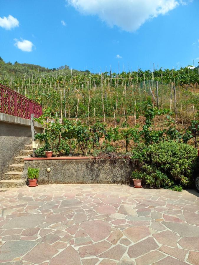 Villa Ester Камайоре Экстерьер фото